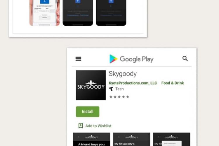 Skygoody app has been submitted and approved!